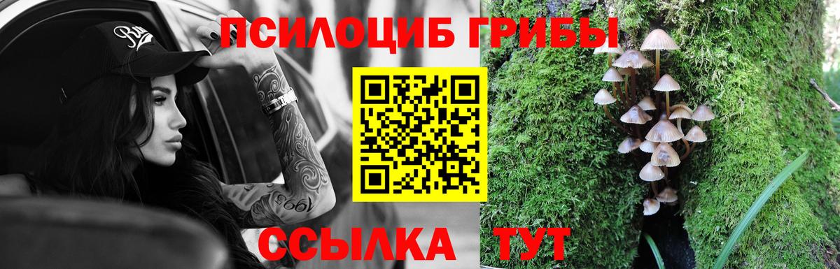 Галлюциногенные грибы GOLDEN TEACHER Волжский