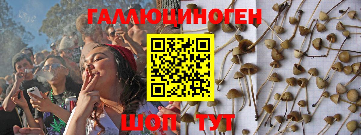 дарнет шоп  Псилоцибиновые грибы Cubensis  Вход с VPN  Галлюциногенные грибы мухоморы  Волжский 